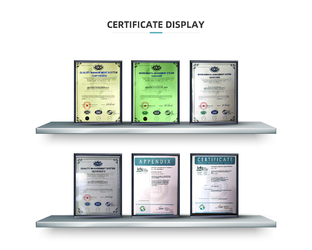 Porcellana Qingdao Dadong Electronics Co., Ltd.